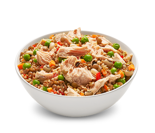 Bahar%20Lezzeti